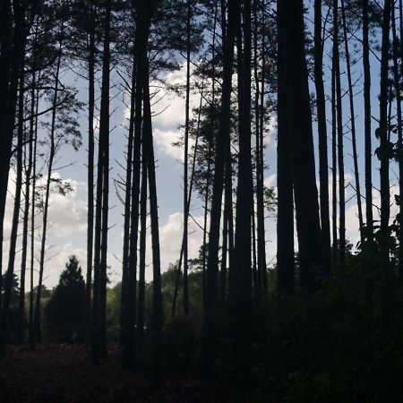 Forest Heath Shepherd'S Huts Рингуд Екстериор снимка