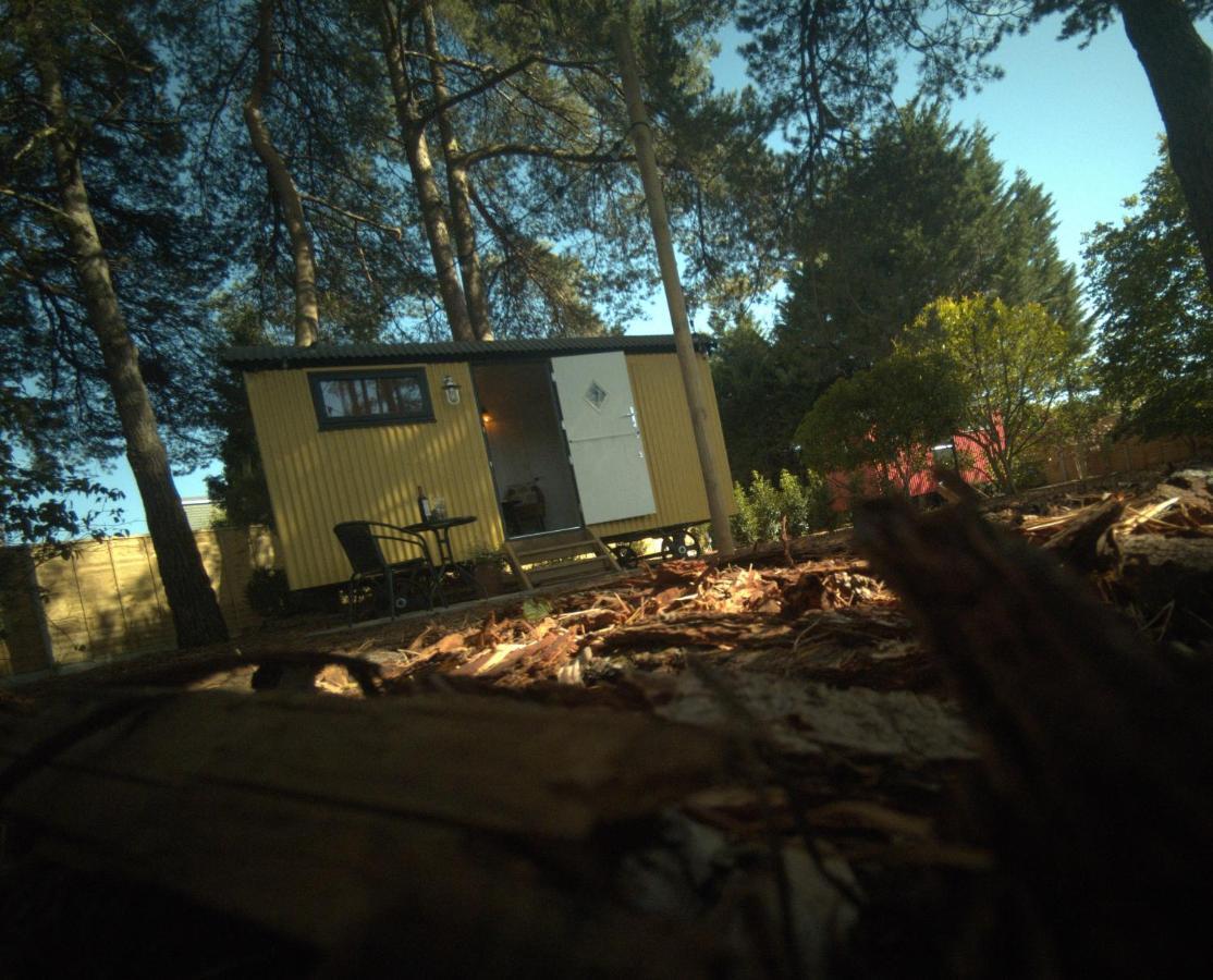 Forest Heath Shepherd'S Huts Рингуд Екстериор снимка
