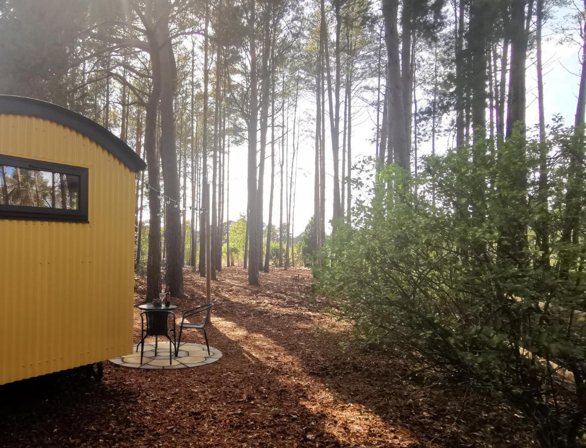 Forest Heath Shepherd'S Huts Рингуд Екстериор снимка