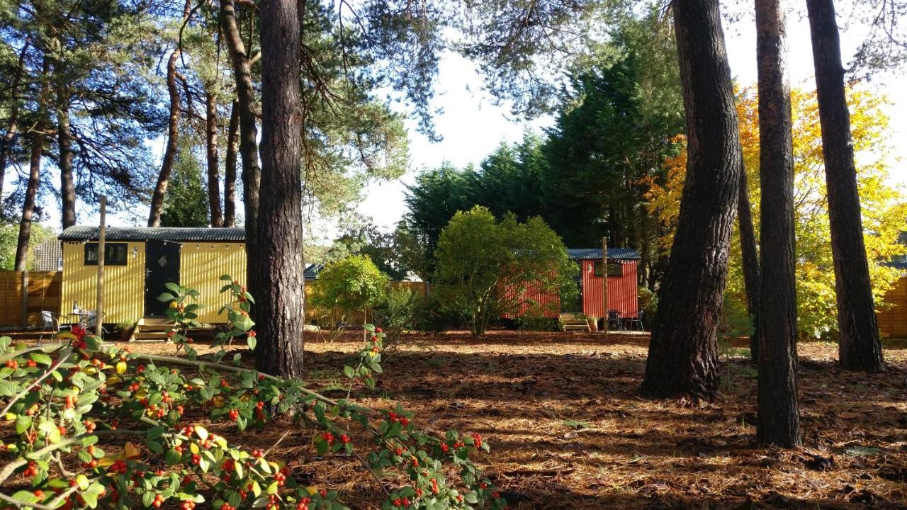 Forest Heath Shepherd'S Huts Рингуд Екстериор снимка