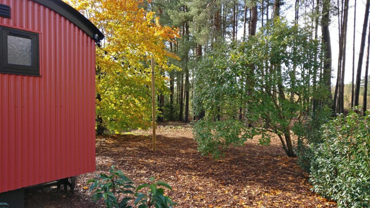 Forest Heath Shepherd'S Huts Рингуд Екстериор снимка