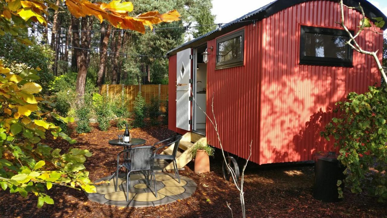 Forest Heath Shepherd'S Huts Рингуд Екстериор снимка